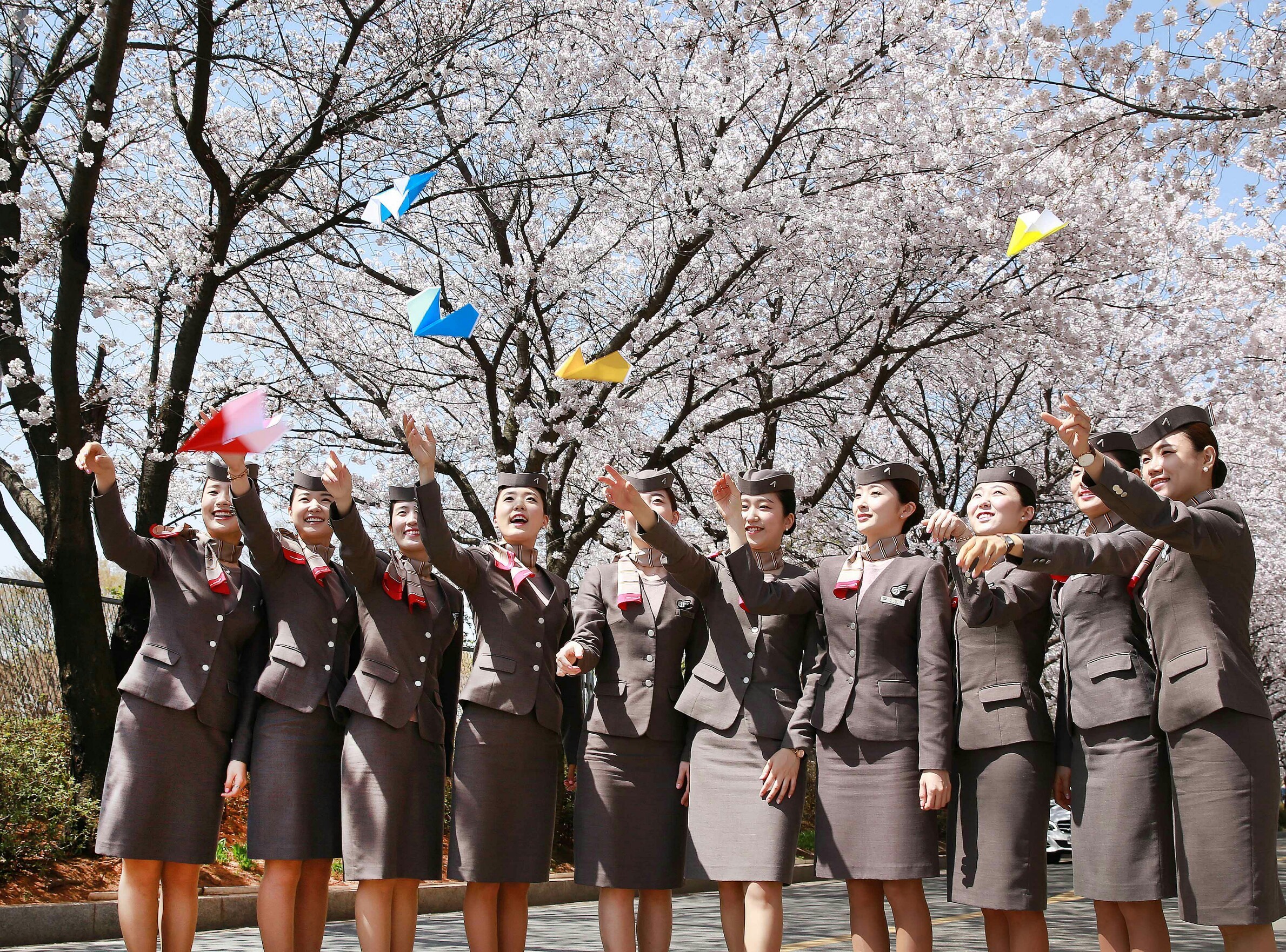 （圖一）韓亞航空2017年最新形象宣傳照，氣質優雅空服員與盛開櫻花，畫面美不勝收。（圖片提供／韓亞航空）