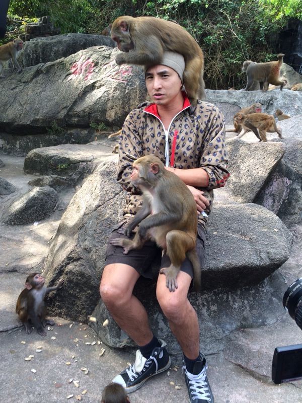 王少偉2013年主持《世界第一等》，猴子爬全身也不怕。（八大提供）