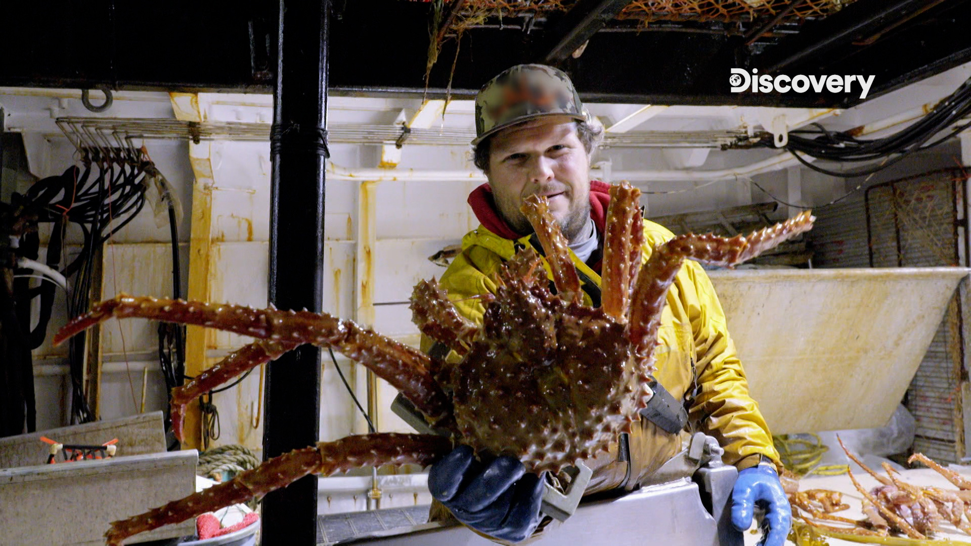 帝王蟹是阿拉斯加漁民賴以為生的漁獲。（Discovery提供）