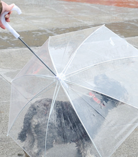 外出遛狗透明雨傘，原價320元，特價160元。（樂天市場提供）