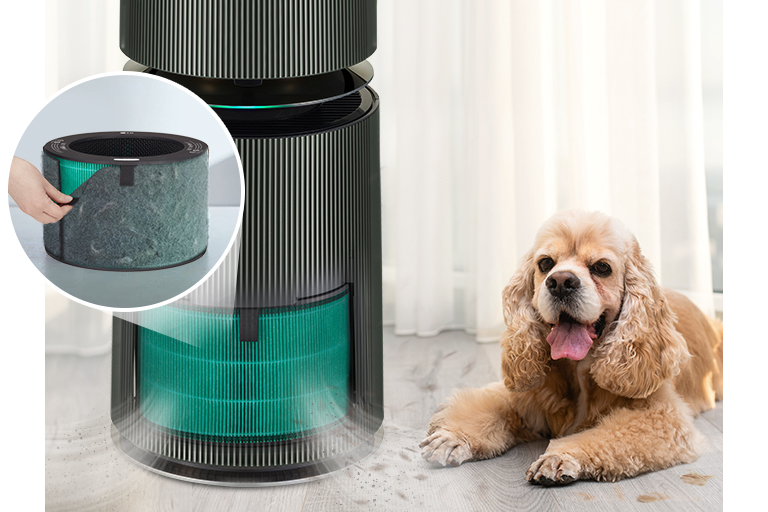 LG PuriCare 360度空氣清淨機寵物功能增加版二代，大幅增加下層吸力，能快速吸附低處寵物懸浮毛髮30%以上。（LG提供／古明弘台北傳真）