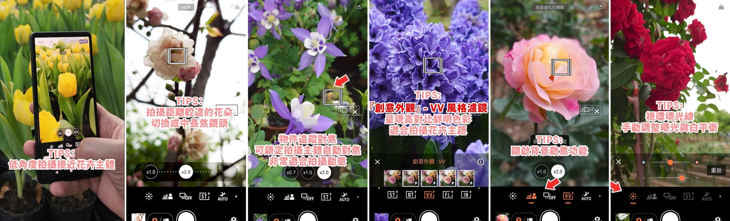 Sony分享如何使用 Xperia 1 V與Xperia 5 V 輕鬆拍出質感花卉。（Sony提供／古明弘台北傳真）